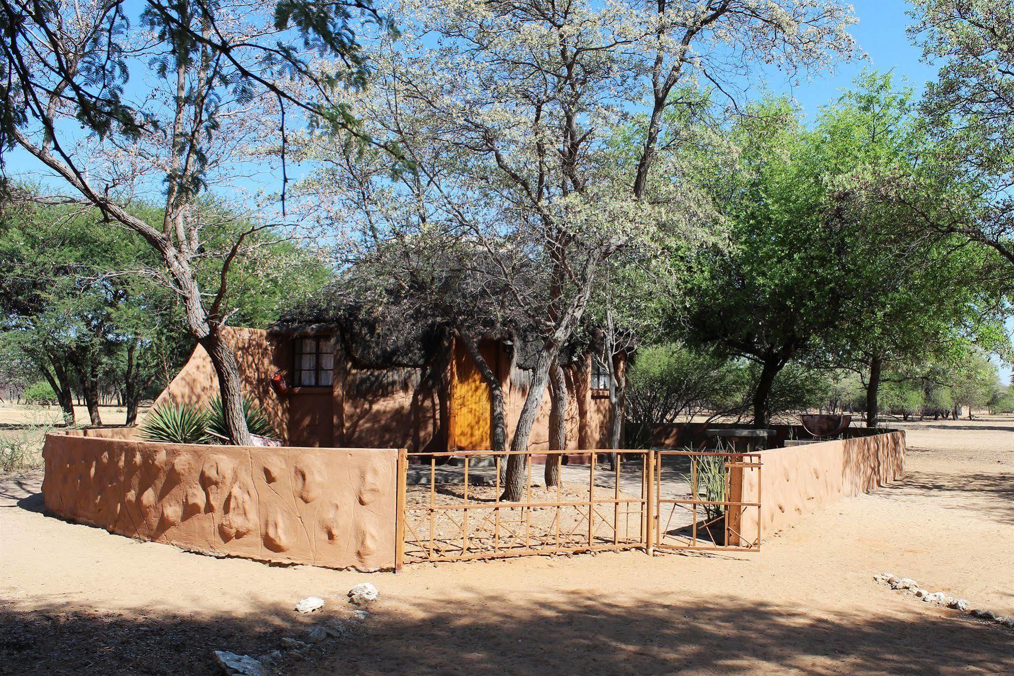 Harnas Wildlife Foundation Gobabis Bagian luar foto